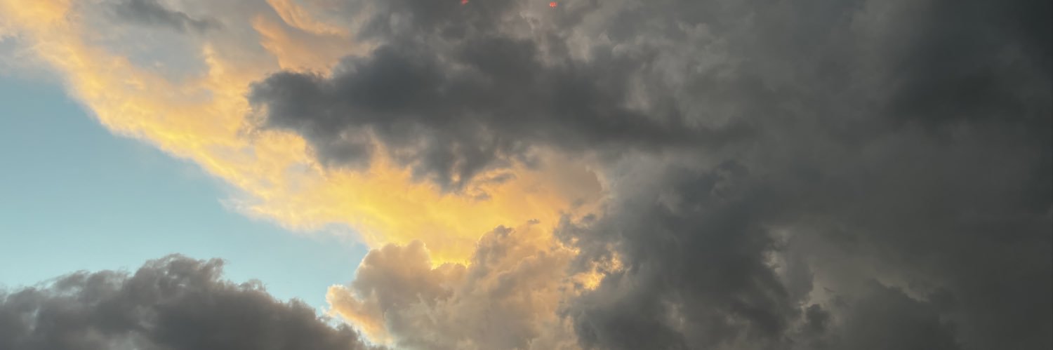 emlouross's profile banner image