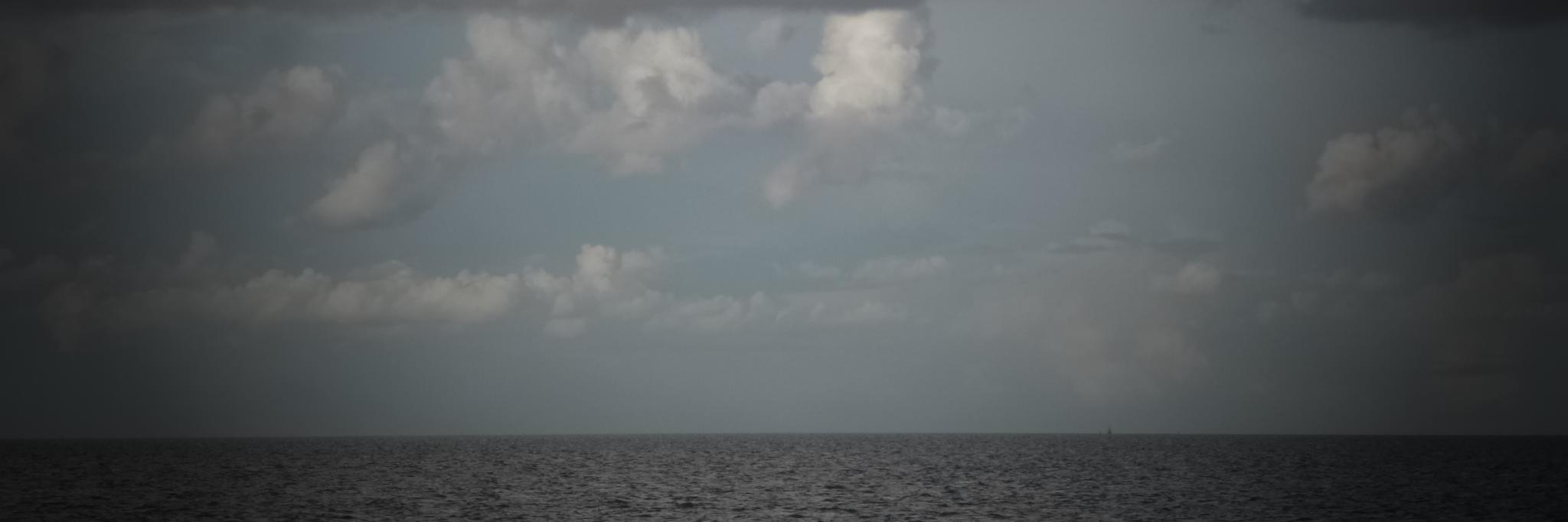 Francisco Godinez G. banner