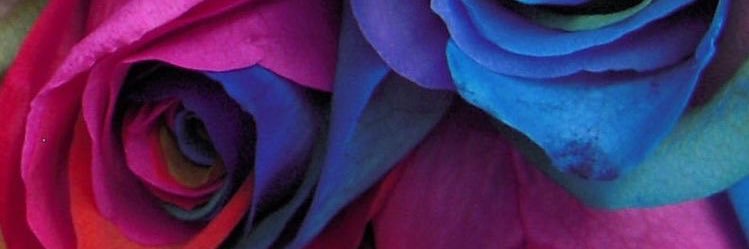 kooont11's profile banner image