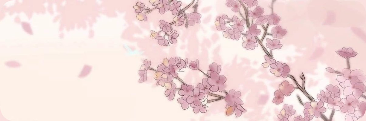 lolysofty's profile banner image