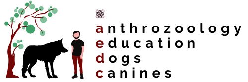 MarcoAddaAEDC's profile banner image