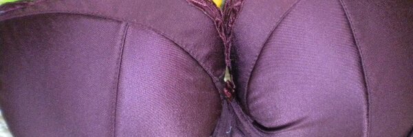 boosaurus Profile Banner