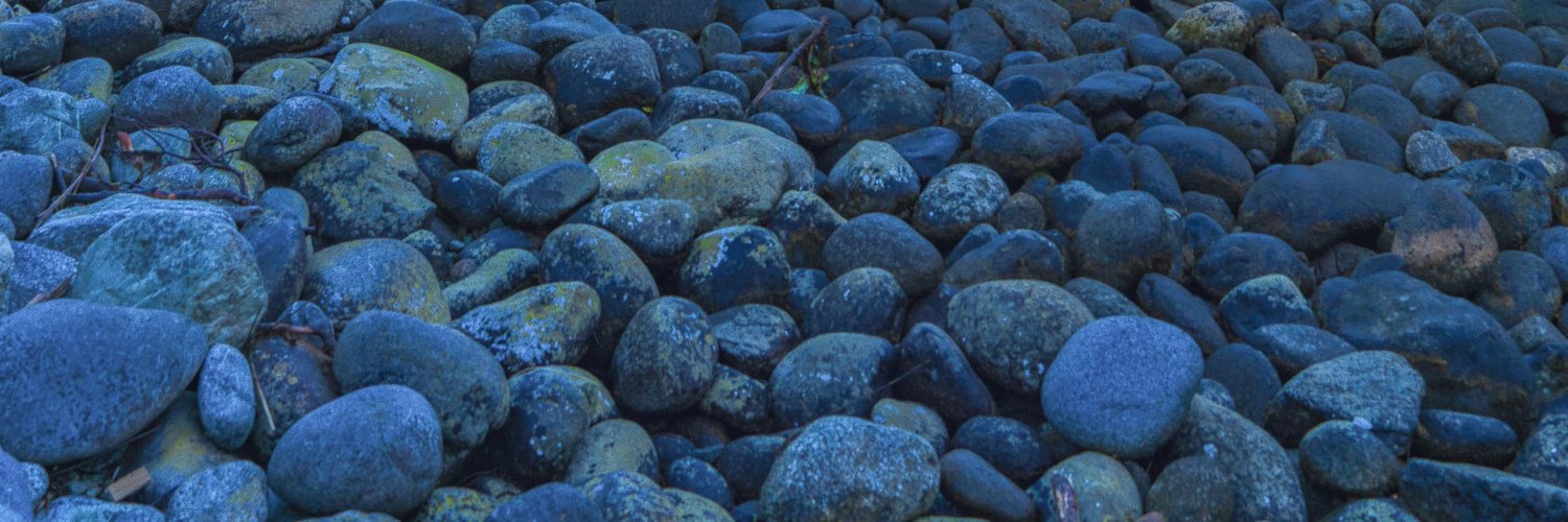 gustavoeo's profile banner image