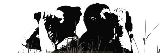 Go Birding Podcasts banner
