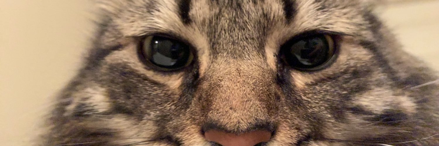 landonstokes's profile banner image