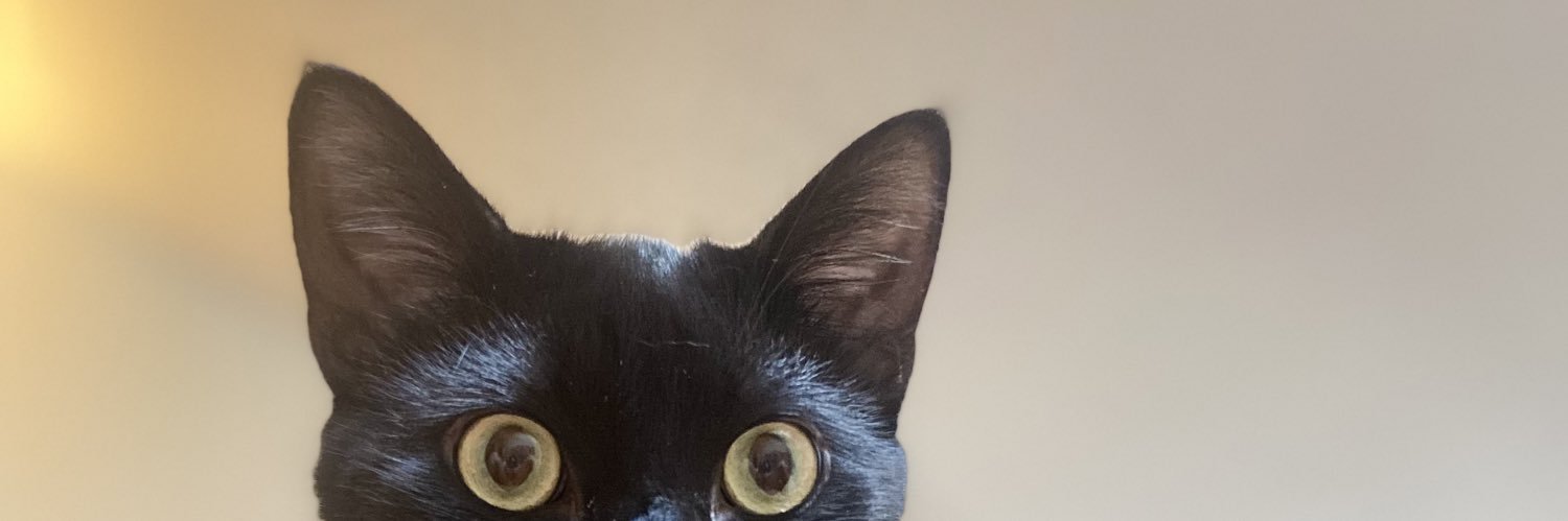 ShotsOfCatron's profile banner image