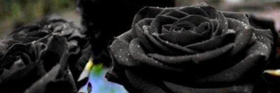 DebraWrapsTexas's profile banner image