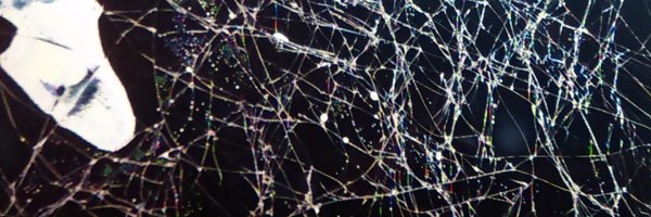 TokenInfection Profile Banner