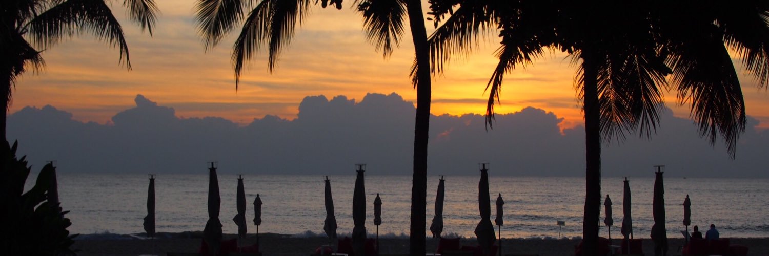 meenpl's profile banner image