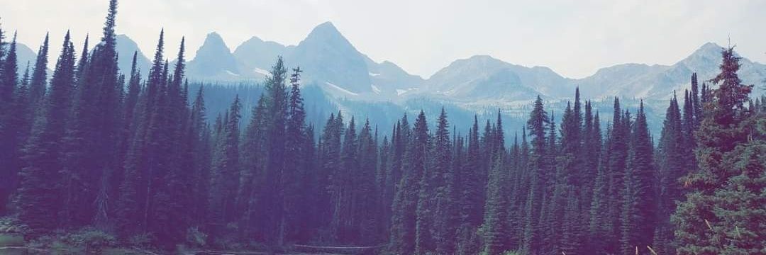 MeganJaneSK's profile banner image