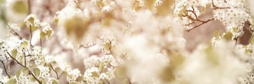 ZShobani's profile banner image