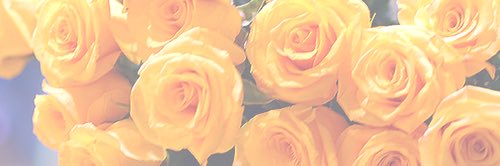 JaayRuthh's profile banner image