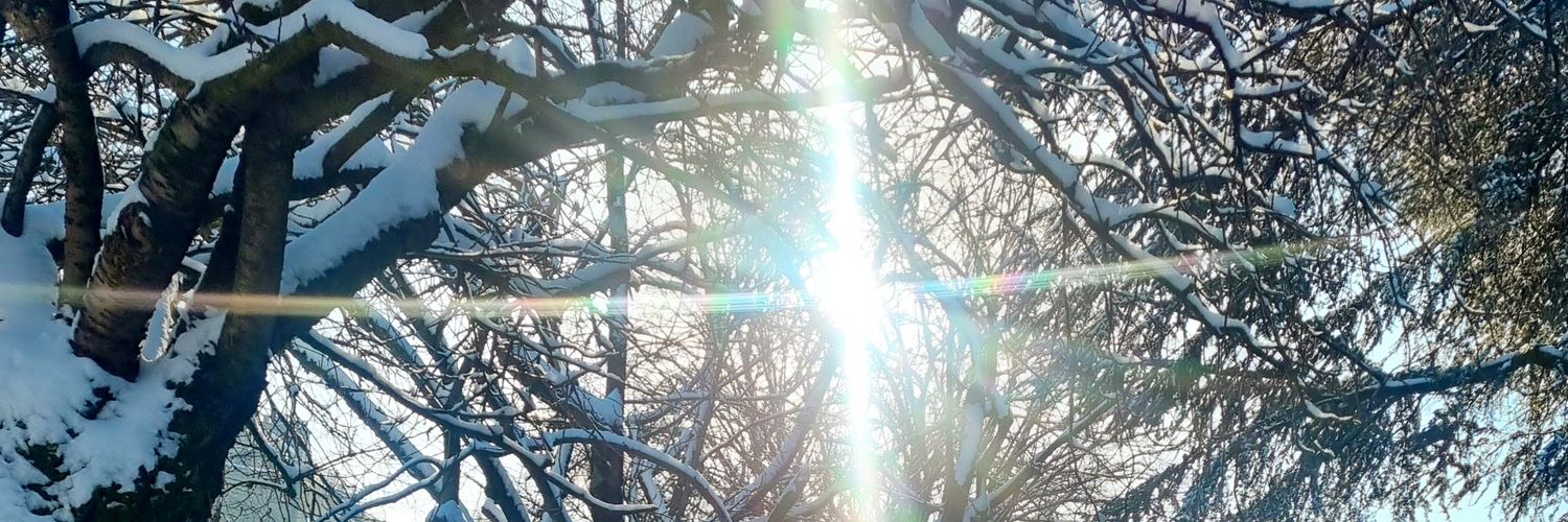 icemale1971's profile banner image