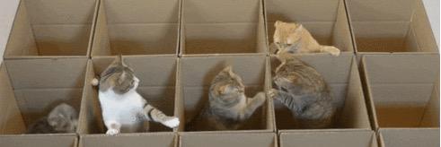 Jennifer Verdes banner