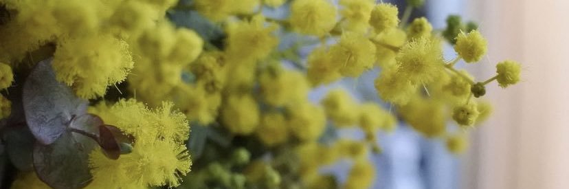 K_purpuR's profile banner image
