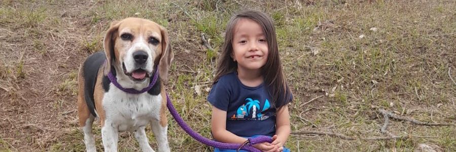 DianaFer25's profile banner image