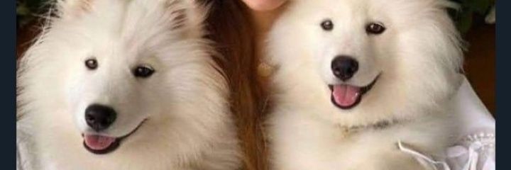 EemEsperanza's profile banner image
