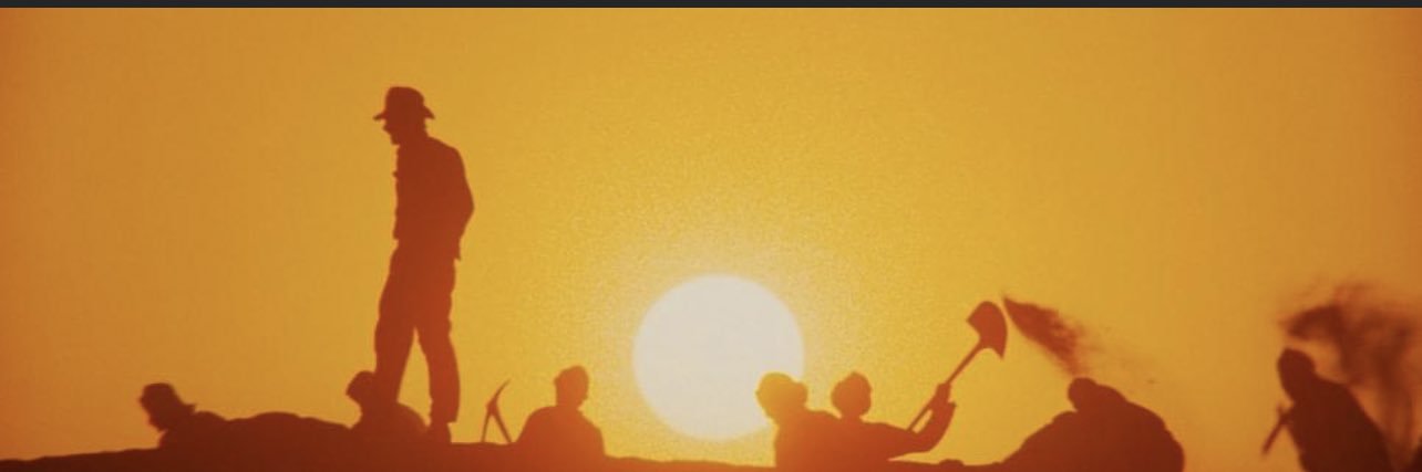 dalybear's profile banner image