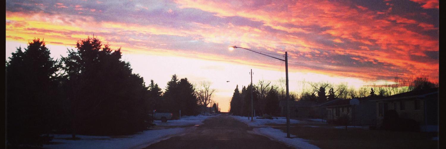 mal_fleck's profile banner image