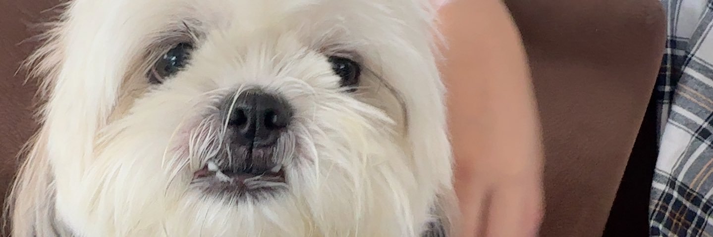 CathCathlea's profile banner image