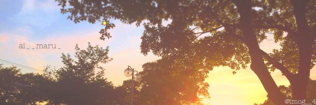 ai__maru_'s profile banner image
