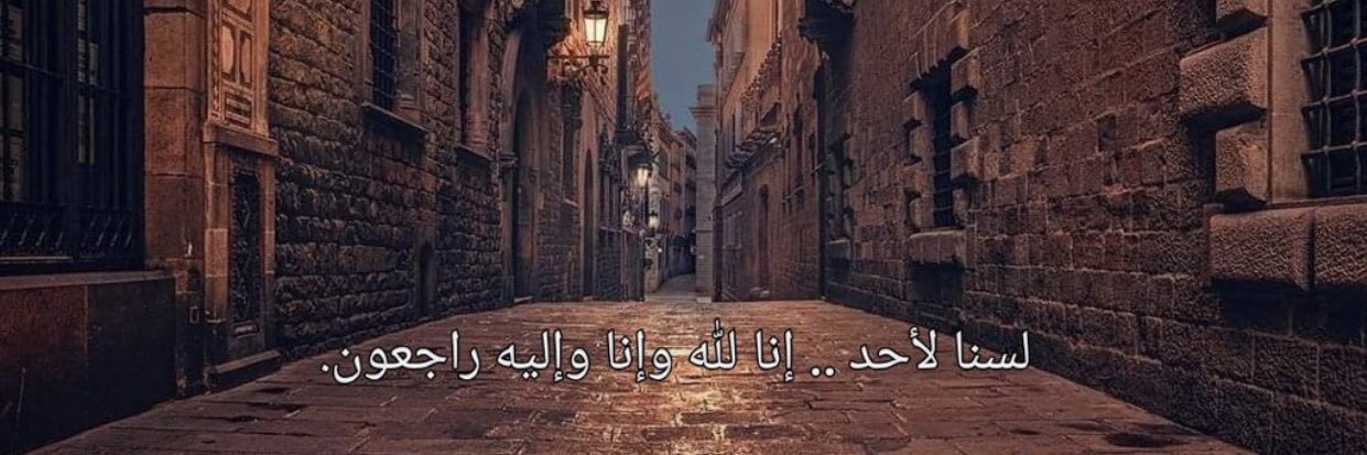 Al_ANZI901's profile banner image