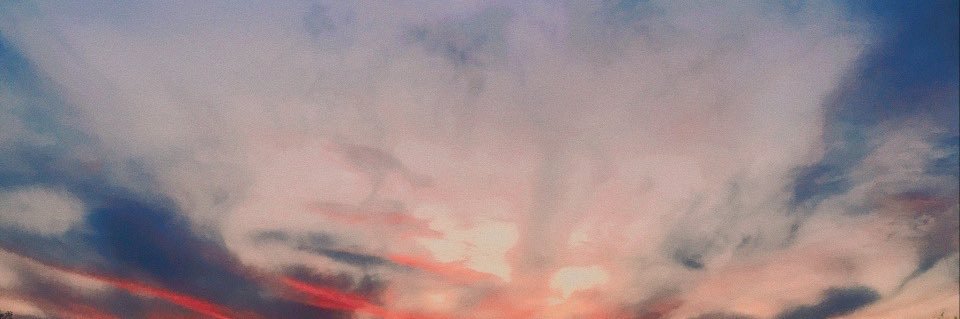 paigeerupp's profile banner image