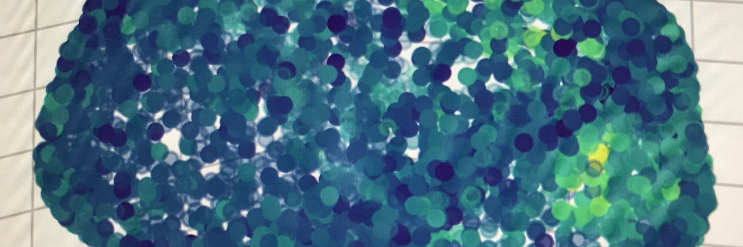 Samantha Cohen banner