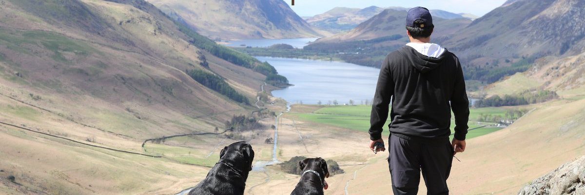 PetWishPros's profile banner image
