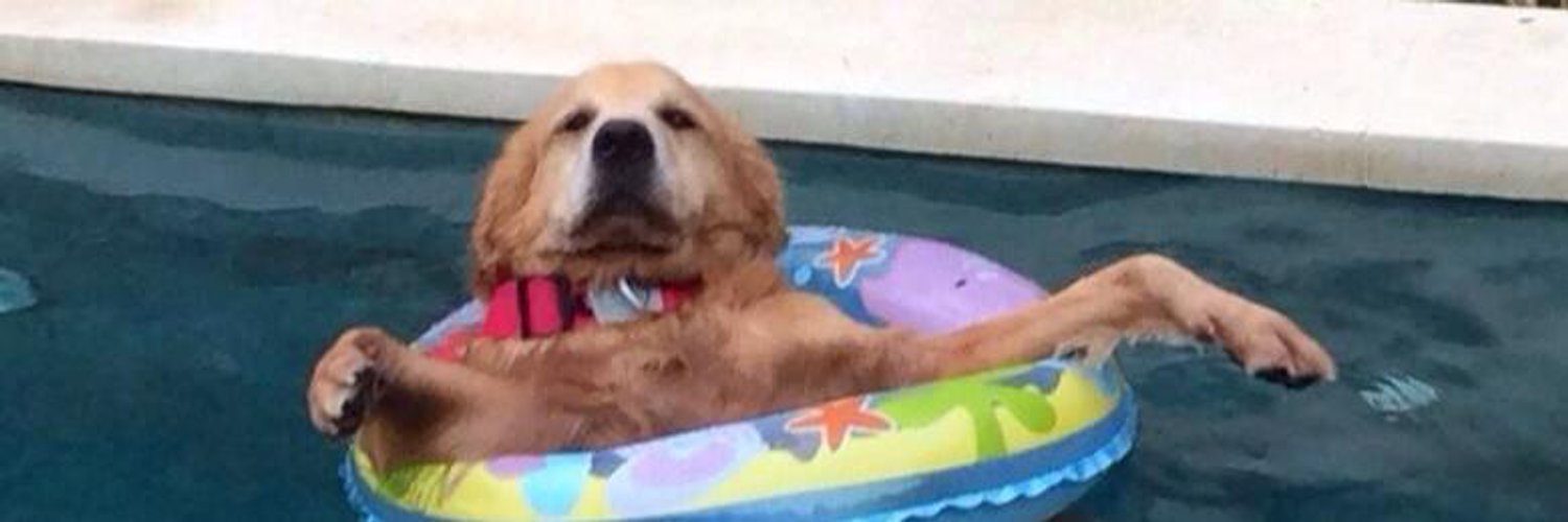 brian feldman banner