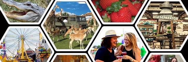 TangiTourism's profile banner image
