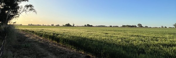 ferguillot_ Profile Banner