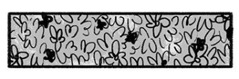e17ish's profile banner image
