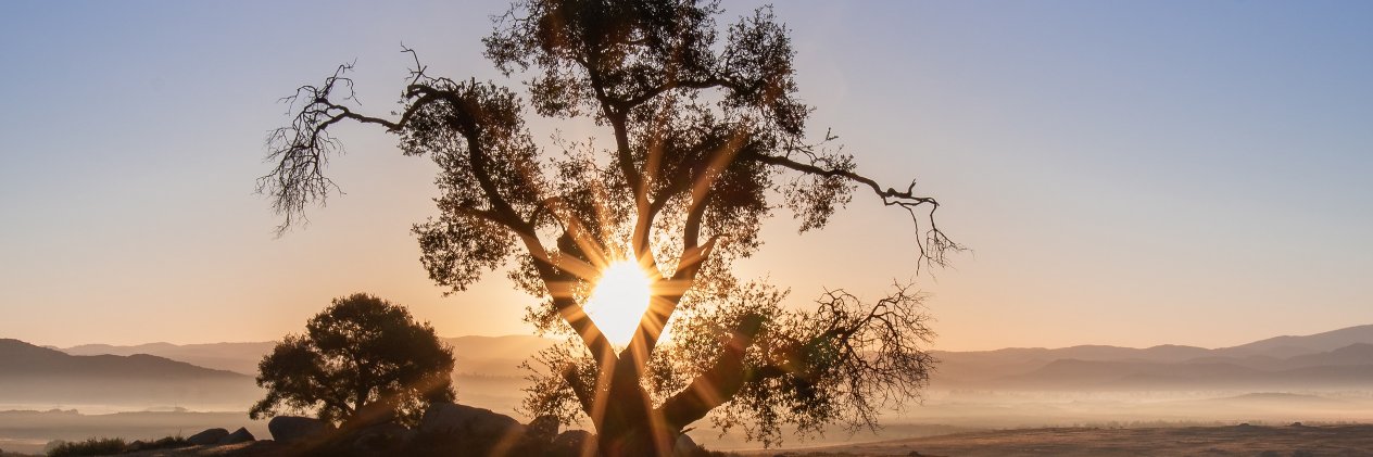 JacobGleim's profile banner image