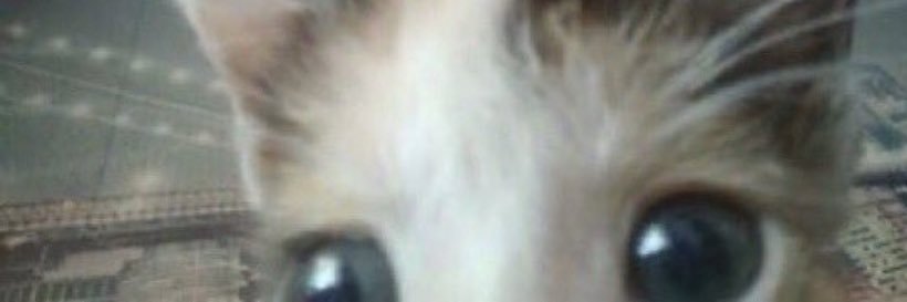 uhandreaaa's profile banner image