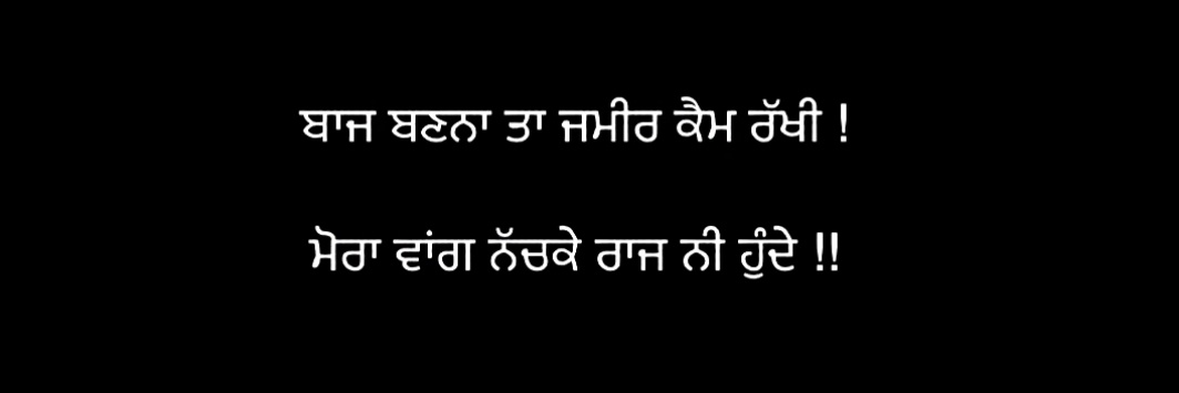 ਕੱਬੇ_ਸਰਦਾਰ 🚩 banner