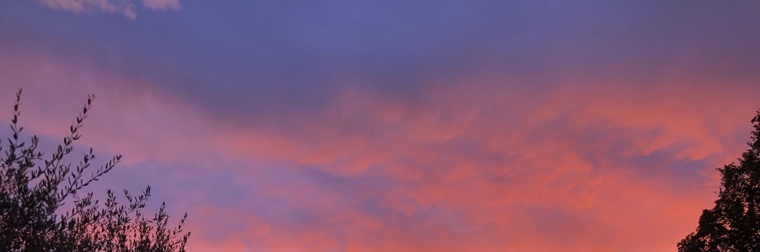 dibellaaa's profile banner image