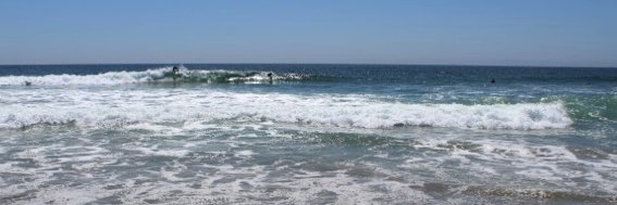 Estrogen Mafia ⚜️🏳️‍🌈Ally #FBR🇺🇦🌊 banner