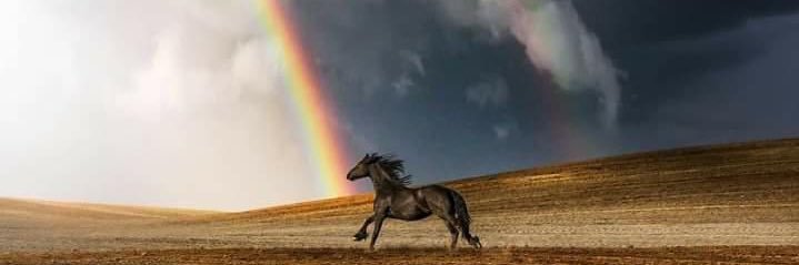 NsourMoayad's profile banner image