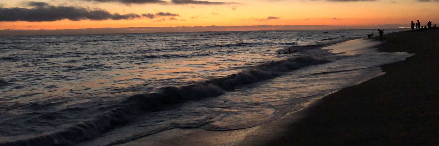 Michael Medrano banner