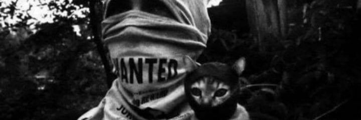 howdyouknowthat's profile banner image