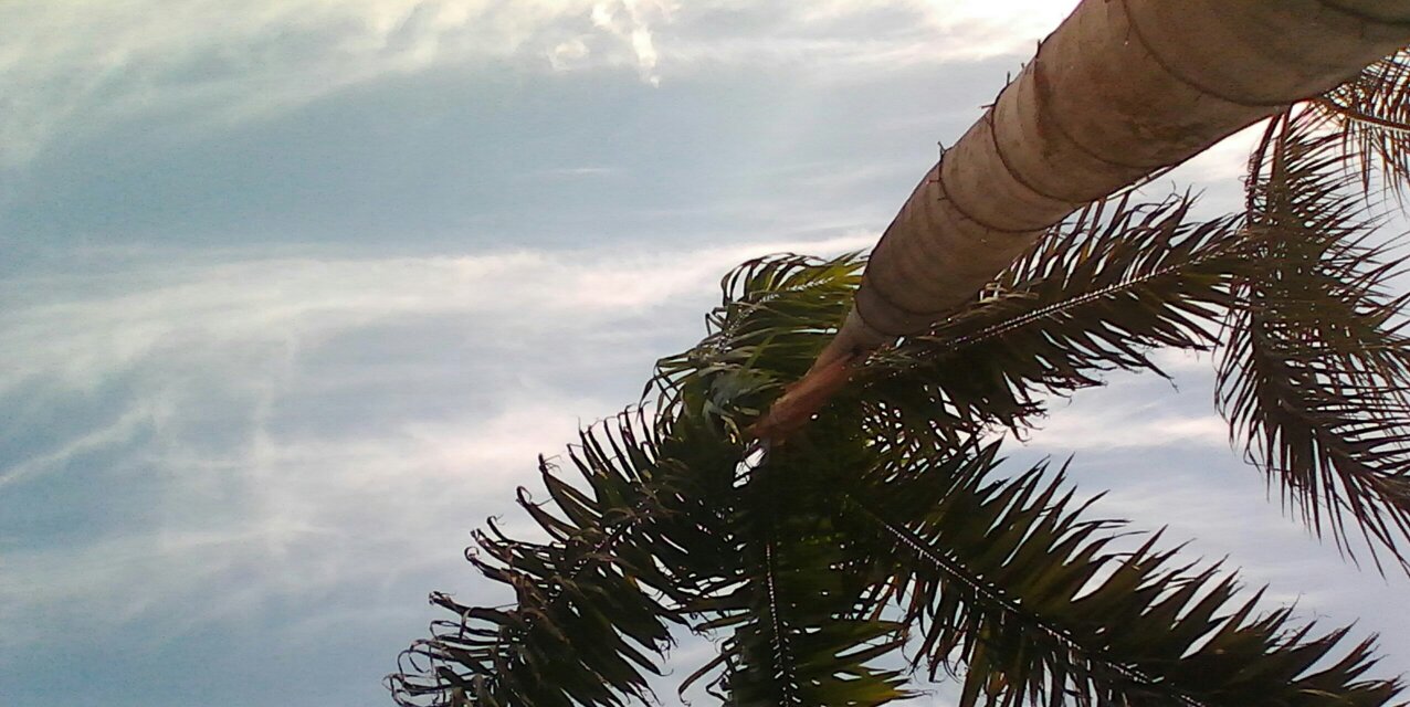 pabloquitian's profile banner image