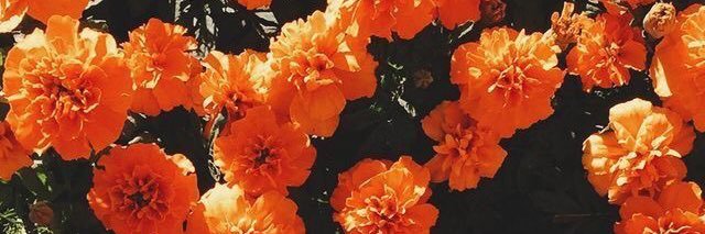 AudToucey's profile banner image