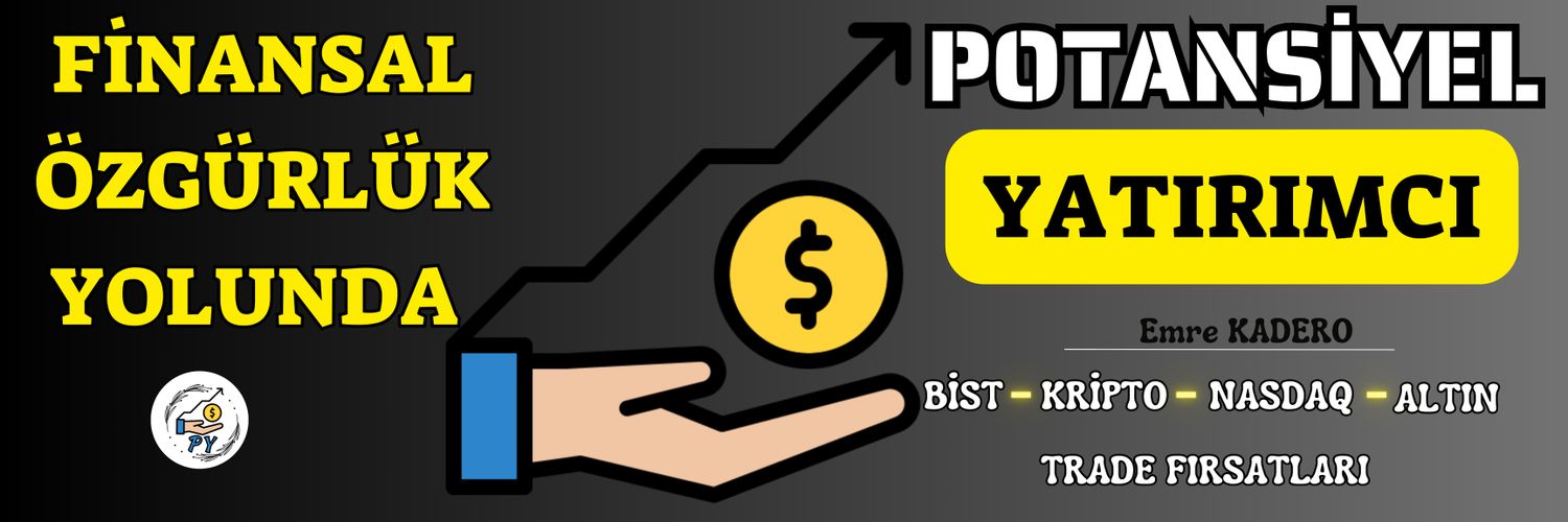 pyatirimci's profile banner image