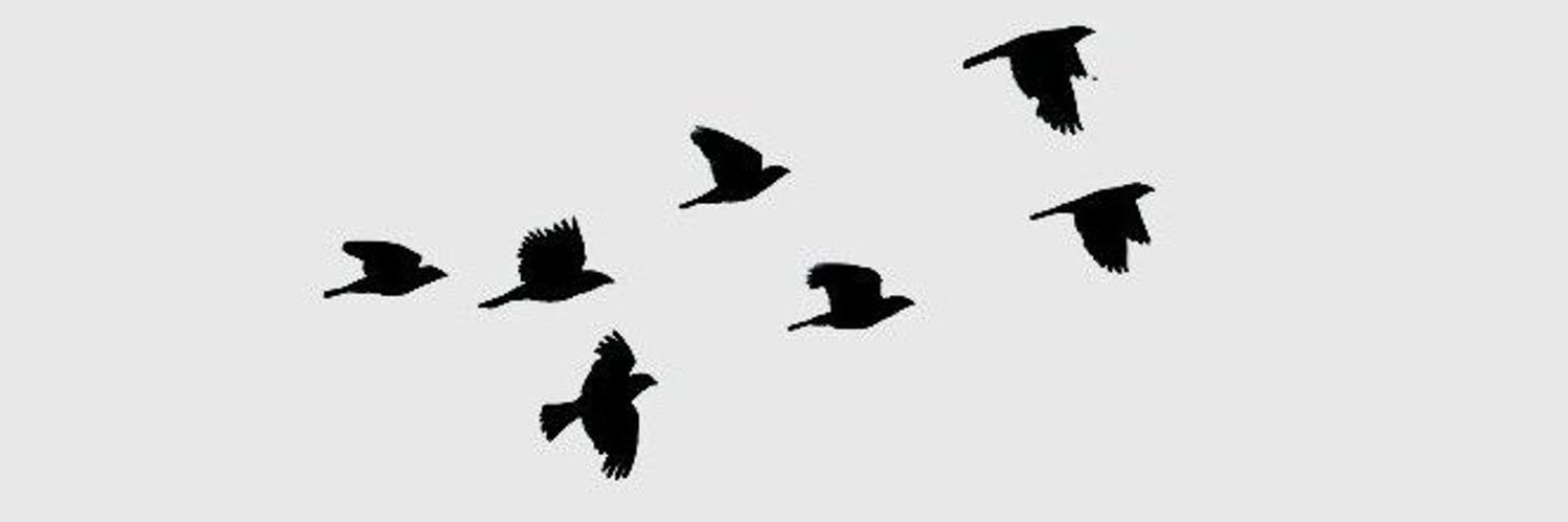 Vulture trades Private banner