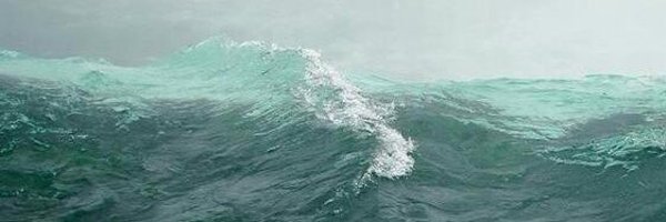 wavysight Profile Banner