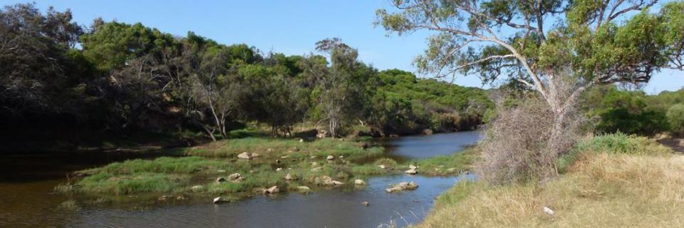 ChapmanRiver Friends banner