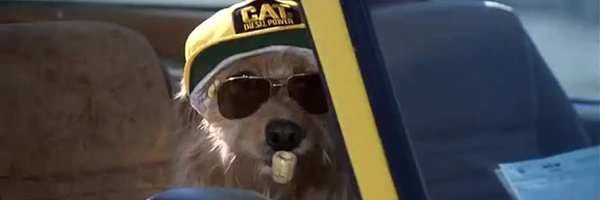 Beardeneau Profile Banner