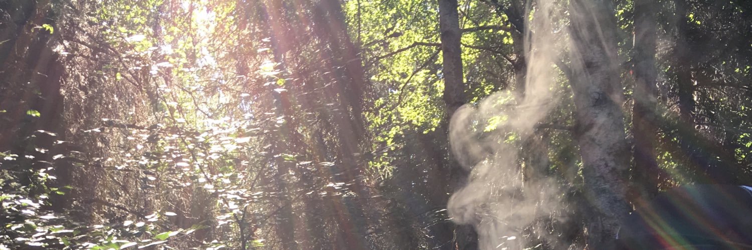 moshmelk's profile banner image