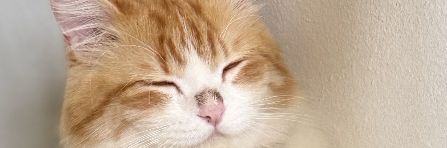 Pathamawadee6's profile banner image